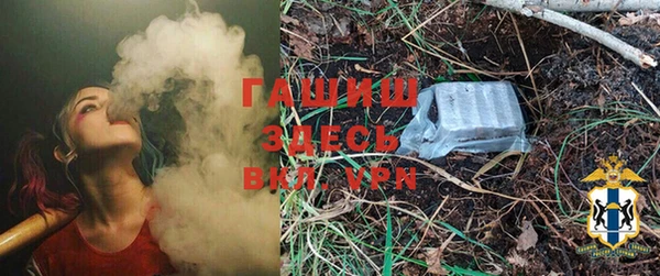 шишки Дмитриев