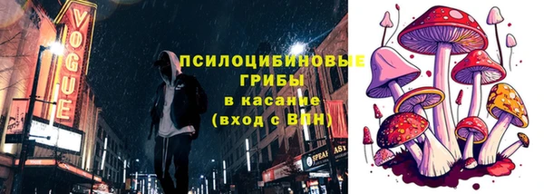 прущий лед Гусь-Хрустальный