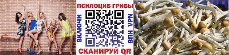 Псилоцибиновые грибы MAGIC MUSHROOMS  Находка 